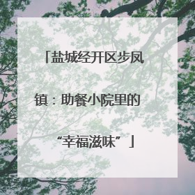 盐城经开区步凤镇：助餐小院里的“幸福滋味”