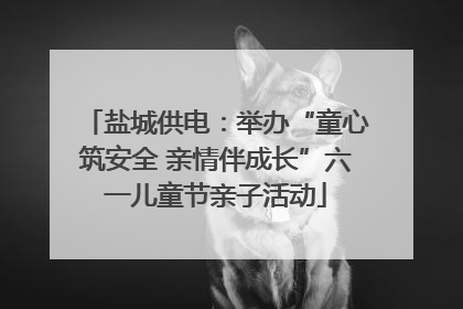 盐城供电：举办“童心筑安全 亲情伴成长”六一儿童节亲子活动