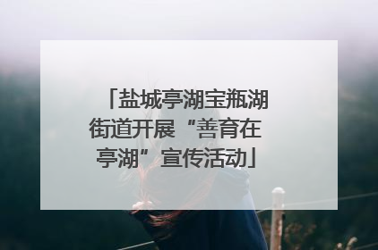 盐城亭湖宝瓶湖街道开展“善育在亭湖”宣传活动