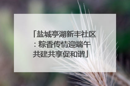 盐城亭湖新丰社区：粽香传情迎端午 共建共享促和谐