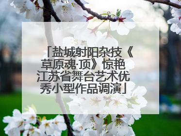 盐城射阳杂技《草原魂·顶》惊艳江苏省舞台艺术优秀小型作品调演
