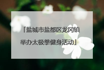盐城市盐都区龙冈镇举办太极拳健身活动