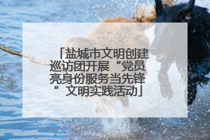 盐城市文明创建巡访团开展“党员亮身份服务当先锋”文明实践活动