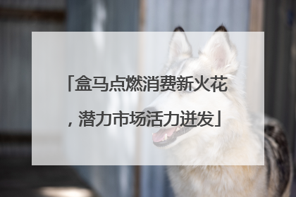 盒马点燃消费新火花，潜力市场活力迸发