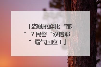 盗贼挑衅比“耶”？民警“双倍耶”霸气回应！