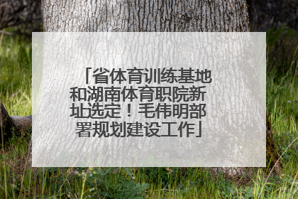 省体育训练基地和湖南体育职院新址选定！毛伟明部署规划建设工作