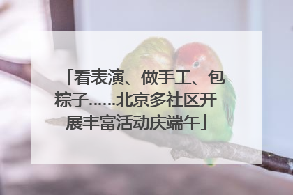 看表演、做手工、包粽子……北京多社区开展丰富活动庆端午