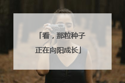 看，那粒种子正在向阳成长