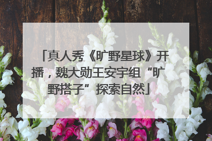 真人秀《旷野星球》开播，魏大勋王安宇组“旷野搭子”探索自然