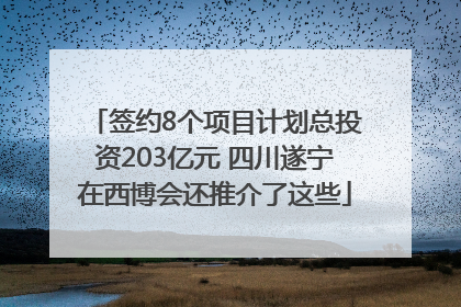 签约8个项目计划总投资203亿元 四川遂宁在西博会还推介了这些