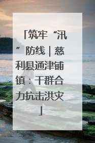 筑牢“汛”防线｜慈利县通津铺镇：干群合力抗击洪灾