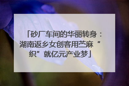砂厂车间的华丽转身：湖南返乡女创客用苎麻“织”就亿元产业梦