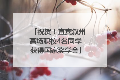 祝贺！宜宾叙州高场职校4名同学获得国家奖学金