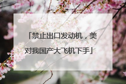 禁止出口发动机,美对我国产大飞机下手