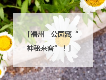 福州一公园藏“神秘来客”！