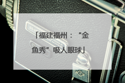 福建福州：“金鱼秀”吸人眼球