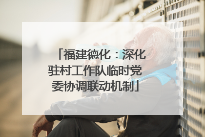 福建德化：深化驻村工作队临时党委协调联动机制