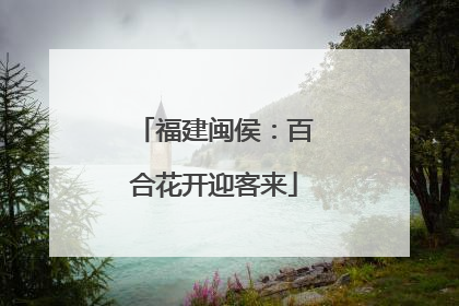 福建闽侯：百合花开迎客来