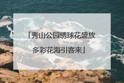 秀山公园绣球花盛放 多彩花海引客来