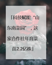 科技赋能“山东南菜园”，这家合作社年育菜苗2.2亿株