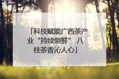 科技赋能广西茶产业“持续领鲜” 八桂茶香沁人心