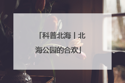 科普北海丨北海公园的合欢