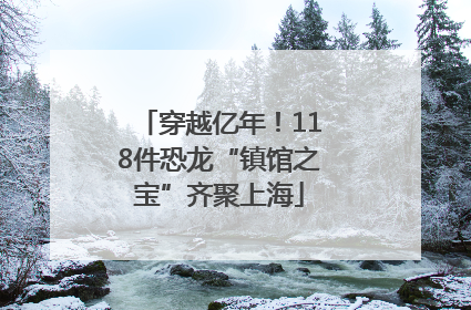 穿越亿年！118件恐龙“镇馆之宝”齐聚上海