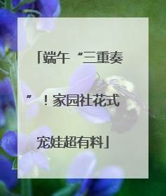 端午“三重奏”！家园社花式宠娃超有料