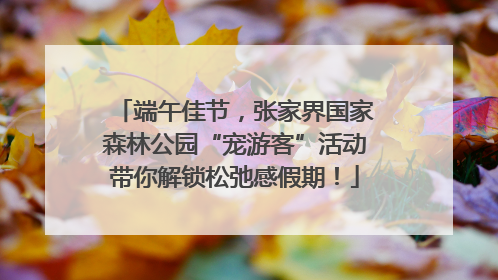 端午佳节，张家界国家森林公园“宠游客”活动带你解锁松弛感假期！