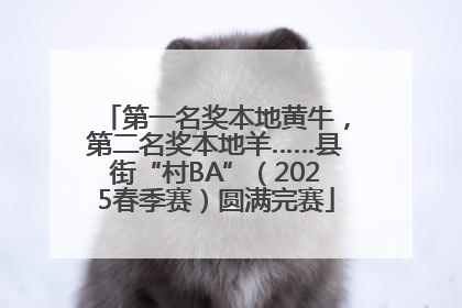 第一名奖本地黄牛，第二名奖本地羊……县街“村BA”（2025春季赛）圆满完赛