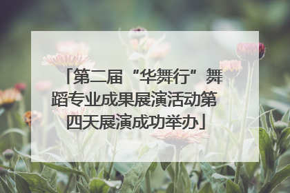 第二届“华舞行”舞蹈专业成果展演活动第四天展演成功举办