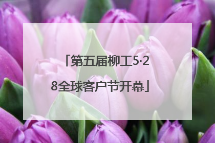 第五届柳工5·28全球客户节开幕