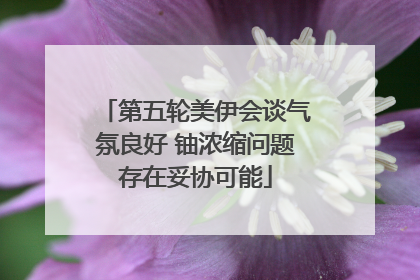 第五轮美伊会谈气氛良好 铀浓缩问题存在妥协可能