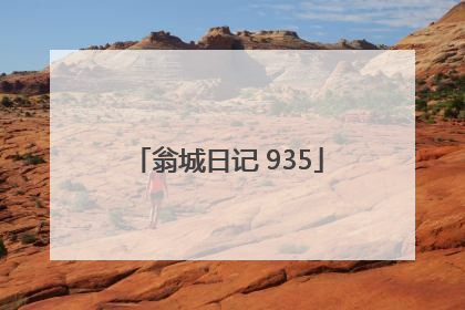 翁城日记 935