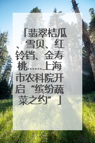 翡翠桔瓜、雪贝、红铃铛、金寿桃……上海市农科院开启“缤纷蔬菜之约”
