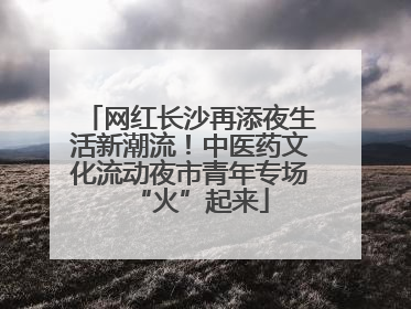 网红长沙再添夜生活新潮流！中医药文化流动夜市青年专场“火”起来