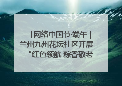 网络中国节·端午｜兰州九州花坛社区开展“红色领航 粽香敬老”端午主题活动