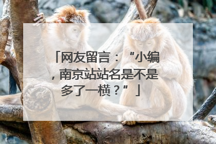 网友留言：“小编，南京站站名是不是多了一横？”