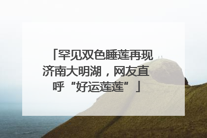 罕见双色睡莲再现济南大明湖，网友直呼“好运莲莲”