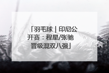 羽毛球｜印尼公开赛：程星/张驰晋级混双八强