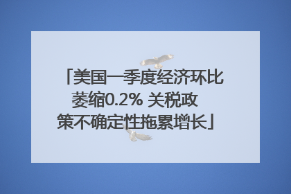 美国一季度经济环比萎缩0.2% 关税政策不确定性拖累增长