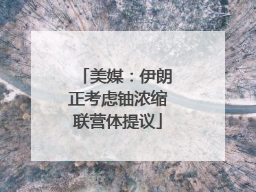 美媒：伊朗正考虑铀浓缩联营体提议