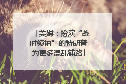 美媒：扮演“战时领袖”的特朗普为更多混乱铺路