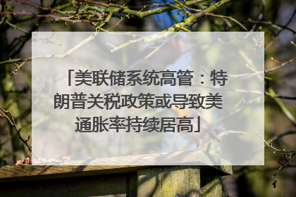 美联储系统高管：特朗普关税政策或导致美通胀率持续居高