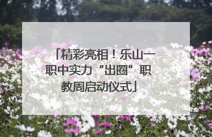 精彩亮相！乐山一职中实力“出圈”职教周启动仪式