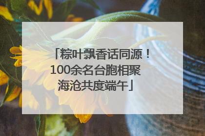 粽叶飘香话同源！100余名台胞相聚海沧共度端午
