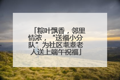粽叶飘香，邻里情浓，“送福小分队”为社区耄耋老人送上端午祝福