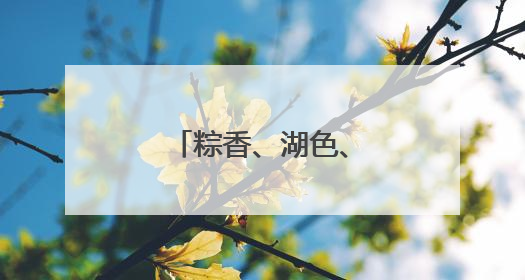 粽香、湖色、龙舟影，玉溪江川端午等你来