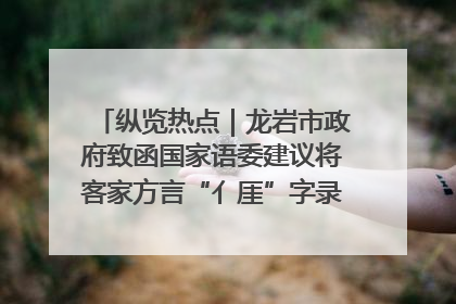 纵览热点｜龙岩市政府致函国家语委建议将客家方言“亻厓”字录入《新华字典》引发热议，当地回应