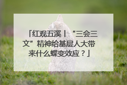 红观五溪丨“三会三文”精神给基层人大带来什么蝶变效应？